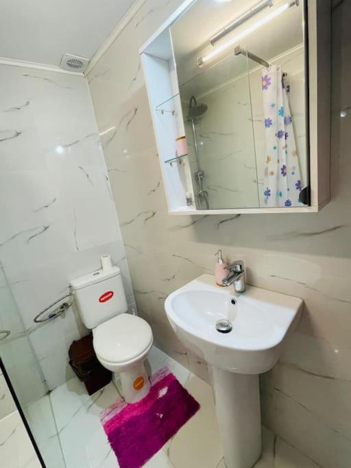 Lavender Luxury Apartment Oradea Eksteriør bilde